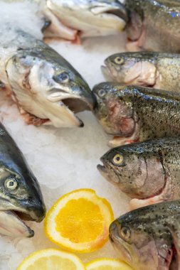 Bir süpermarkette bir sayaç buz üzerinde Taze dorado balık