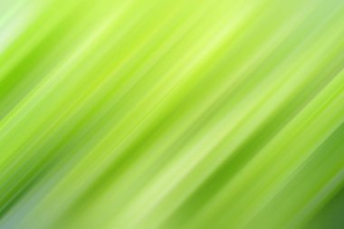 bulanık ışık renkli arka plan ve güzellik doku rotaları