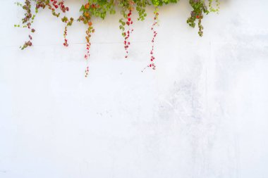 kopyalama alanı ile kırmızı grunge arka plan