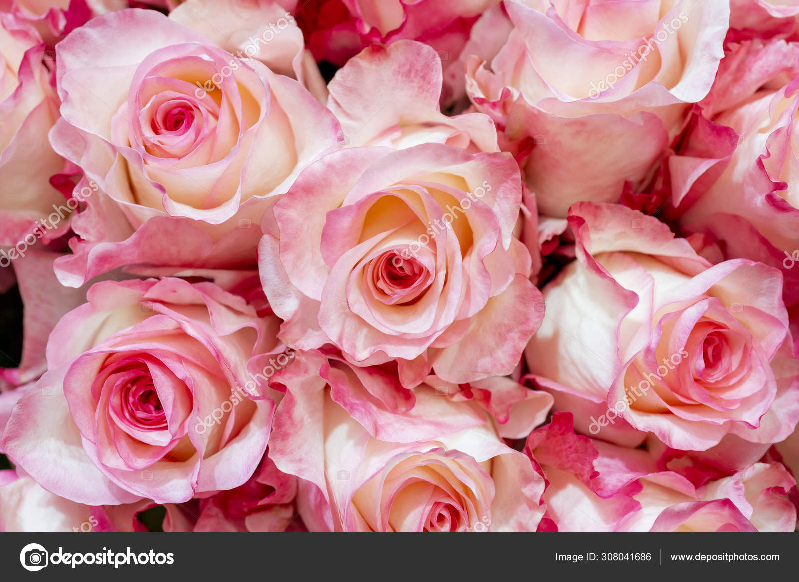 花束の花のクローズ アップ ストック写真 C Sandipruel