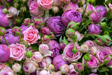 bahçede pembe gül buketi