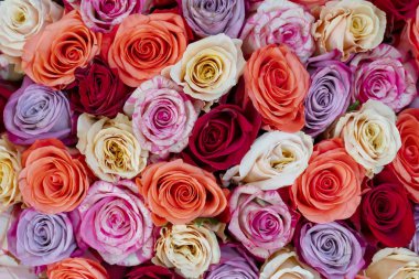 çiçekler buket yakın çekim.