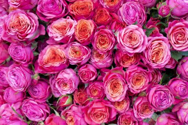 çiçekler buket yakın çekim.