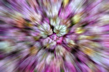 çiçekler buket yakın çekim.