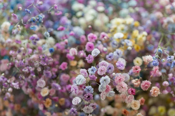 Zbliżenie Kwiatów Bukiet — Zdjęcie stockowe