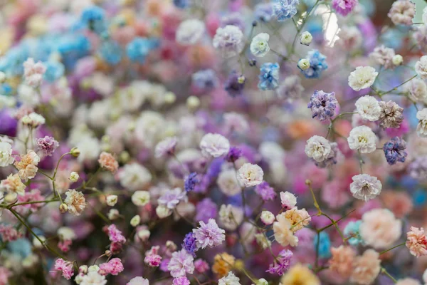 Gros Plan Bouquet Fleurs — Photo
