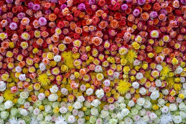 Çiçekler Buket Yakın Çekim — Stok fotoğraf