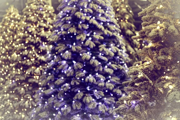 Close Shot Christmas Tree Blue Lights — Stockfoto