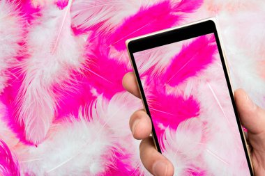 Akıllı telefon ekranında pembe tüyler. Beyaz ve pembe kuş tüyleri. Bayram Sevgililer Günü tebrik kartı..