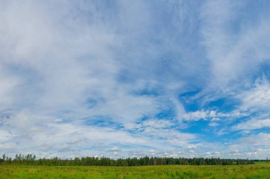 Yeşil çayır üzerinde güzel bulutlar