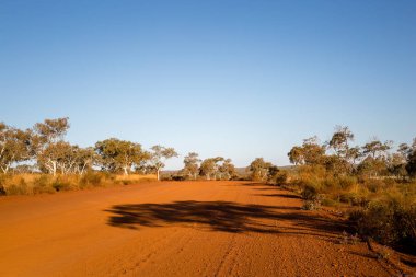 Avustralya Outback, kırmızı kum zemin ve yeşil çalı. Orta Avustralya