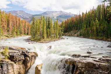 Sunwapta falls in Jasper National Park clipart