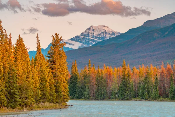 ภูมิทัศน์ฤดูใบไม้ร่วงใน Rockies แคนาดา — ภาพถ่ายสต็อก