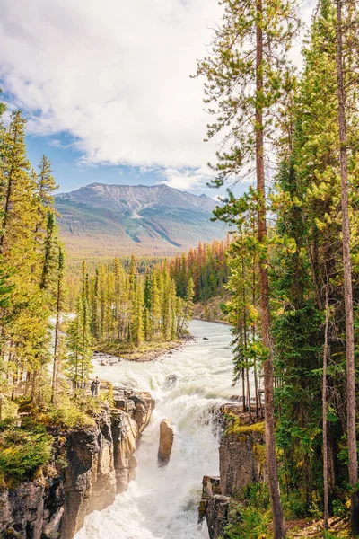 Sunwapta Falls i Jasper nasjonalpark, Canada – stockfoto