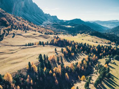 Dolomites Alpleri 'nde sonbahar manzarası, Trentino Alto Adige, İtalya.