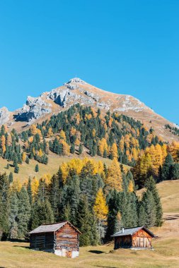 Dolomites Alpleri 'nde sonbahar manzarası, Trentino Alto Adige, İtalya.