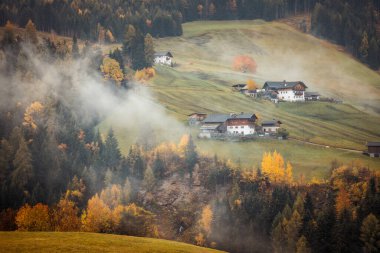 Dolomites Alpleri 'nde sonbahar manzarası, Trentino Alto Adige, İtalya.