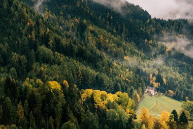 Dolomites Alpleri 'nde sonbahar manzarası, Trentino Alto Adige, İtalya.