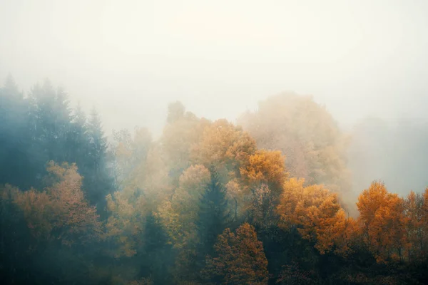 Herbstlandschaft in den Dolomiten, Trentino alto adige, Italien. — Stockfoto