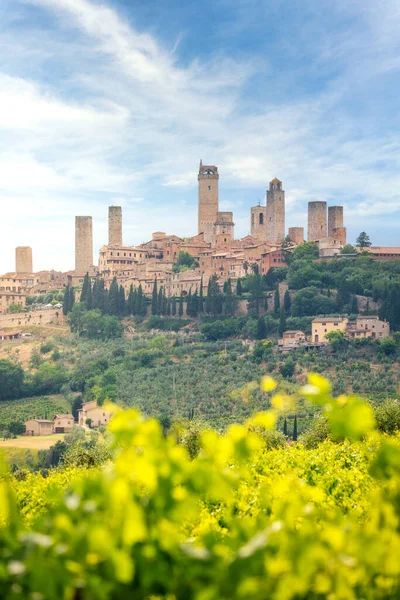 San Gimignano, vingårder og by i Toscana, Italia – stockfoto