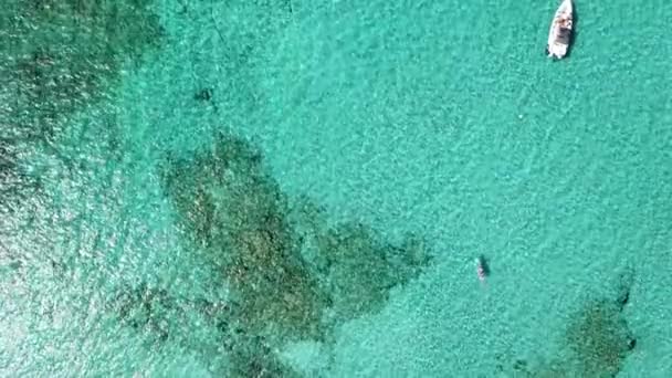 외딴곳에 있는 배와 거북이 바다위에 있는 카약, 바로 위에서 바라본 광경. — 비디오