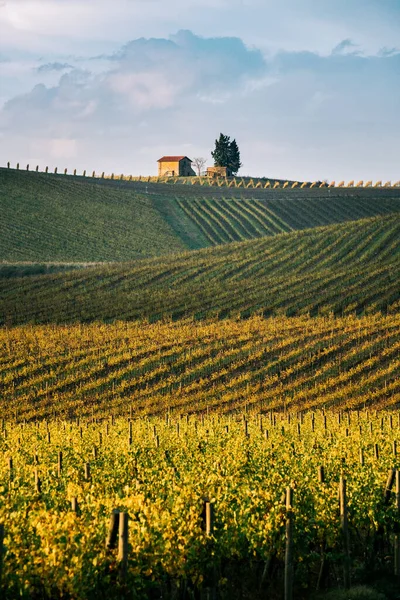 Région du Chianti, cyprès et vignobles, paysage automnal, Toscane — Photo