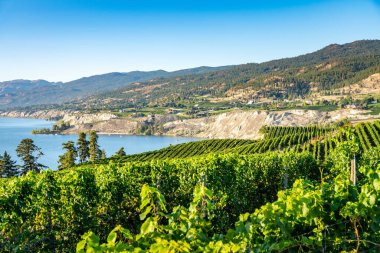 Okanagan wine country in Western Canada, British Columbia. Landscape clipart