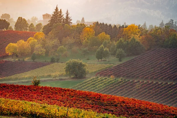 해질 녘에는 가을 풍경, 포도원, 언덕등이 있다. 이탈리아 모데나 — 스톡 사진