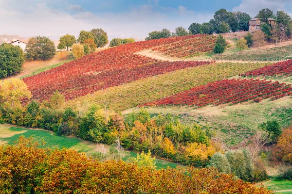 Осінній пейзаж, виноградники і пагорби на заході сонця. Модена, Італія — стокове фото