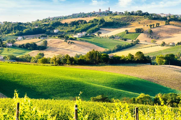 Krajina, krajina a obdělávaná pole. Marche, Itálie — Stock fotografie