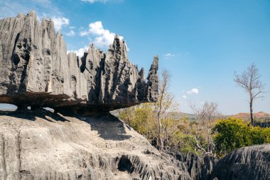 Kireçtaşı oluşumları Tsingy de Bemaraha Ulusal Parkı, Madagaskar 'da eşsiz bir manzara yaratır..