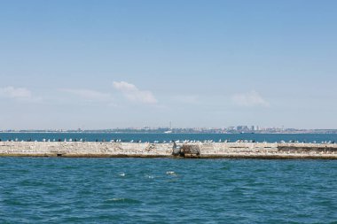 Deniz feneri ve dalgalar