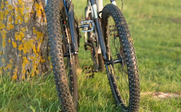 Bicicleta Parque — Fotografia de Stock