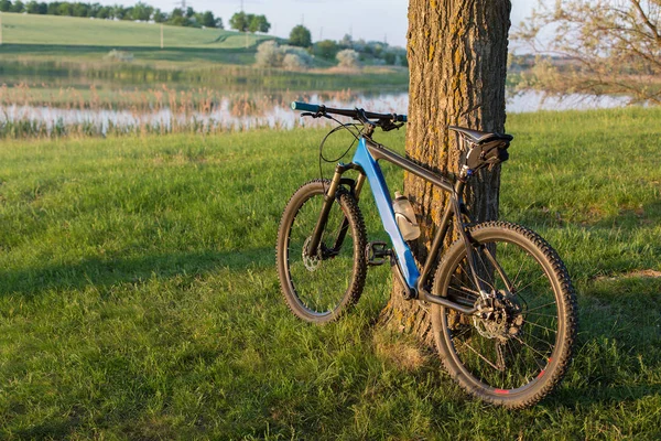 Ridning Mountainbike Skogsstig — Stockfoto