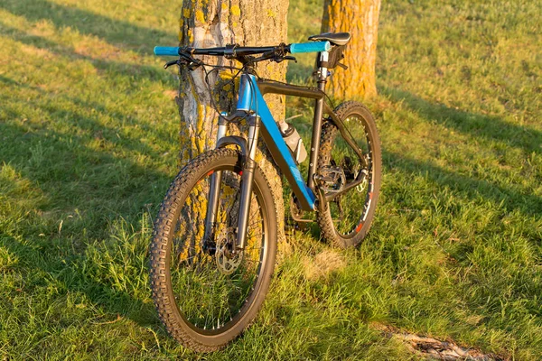 Andar Bicicleta Montanha Trilha Floresta — Fotografia de Stock