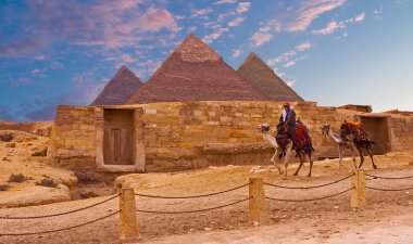 Giza Yaylası sahara Çölü'nde. Kahire'de piramitlerin