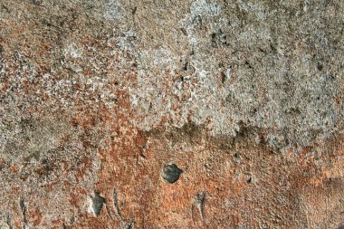 Asbest kayrak doku beton kaplı liken ve moss, sanayi malzeme doğal çimento ile