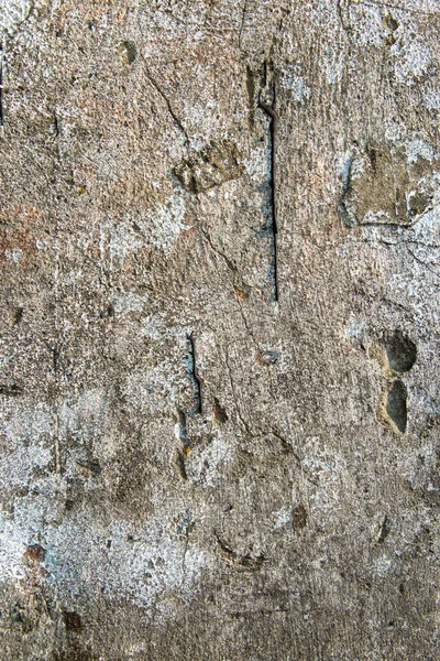 Betão Textura Ardósia Amianto Coberto Com Líquen Musgo Cimento Natural — Fotografia de Stock