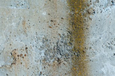 Asbest kayrak doku beton kaplı liken ve moss, sanayi malzeme doğal çimento ile