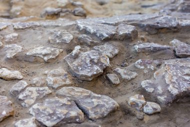 arkeolojik kazılar, yerleşim, İskitler kalıntıları