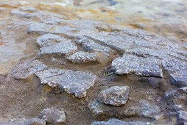 arkeolojik kazılar, yerleşim, İskitler kalıntıları