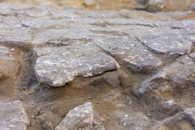 arkeolojik kazılar, yerleşim, İskitler kalıntıları