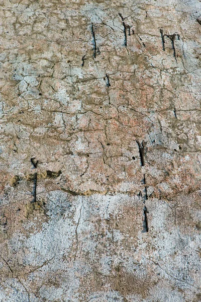 Betão Textura Ardósia Amianto Coberto Com Líquen Musgo Cimento Natural — Fotografia de Stock