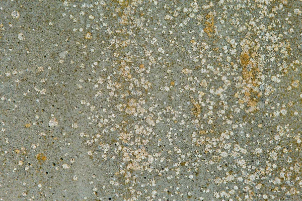 産業材料の自然なセメント 苔癬で覆われたアスベスト スレート テクスチャ コンクリート — ストック写真