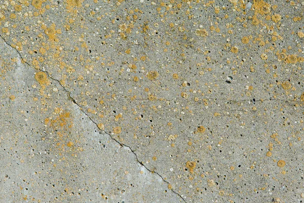 Asbestos Slate Texture Concrete Covered Lichen Moss Industry Material Natural — Stock Photo, Image