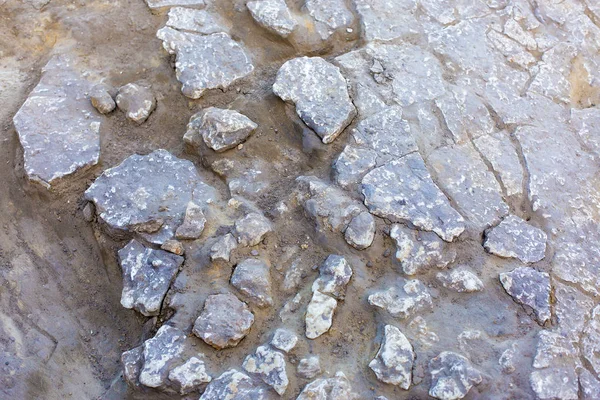 考古学的発掘 スキタイの遺跡 — ストック写真