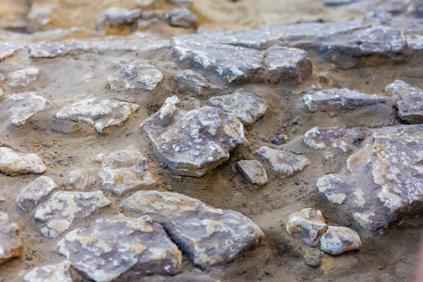 Archeologische Opgravingen Overblijfselen Van Schikking Scythen — Stockfoto