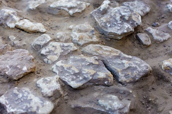 Excavaciones Arqueológicas Restos Del Asentamiento Los Scythians —  Fotos de Stock