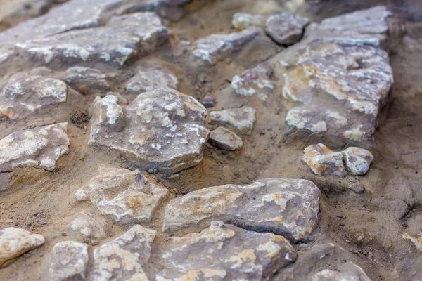 Archeologische Opgravingen Overblijfselen Van Schikking Scythen — Stockfoto