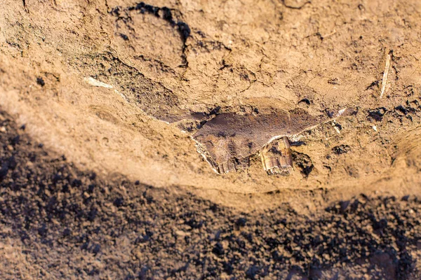 Archäologische Ausgrabungen Überreste Der Siedlung Die Sensen — Stockfoto